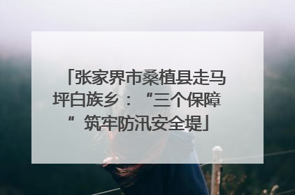 张家界市桑植县走马坪白族乡：“三个保障”筑牢防汛安全堤