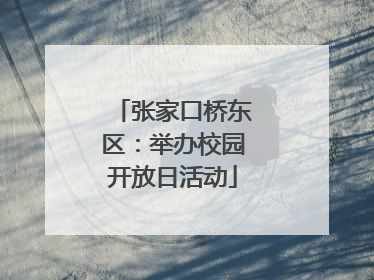 张家口桥东区：举办校园开放日活动