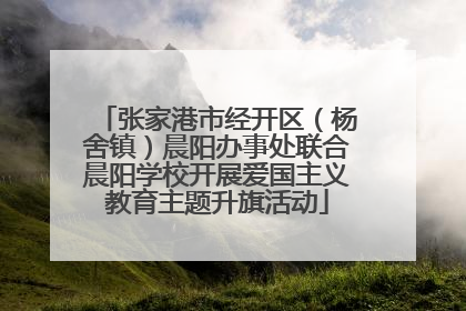 张家港市经开区（杨舍镇）晨阳办事处联合晨阳学校开展爱国主义教育主题升旗活动