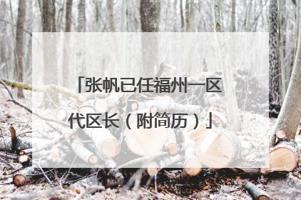 张帆已任福州一区代区长（附简历）