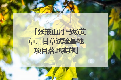 张掖山丹马场艾草、甘草试验基地项目落地实施