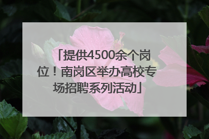 提供4500余个岗位！南岗区举办高校专场招聘系列活动