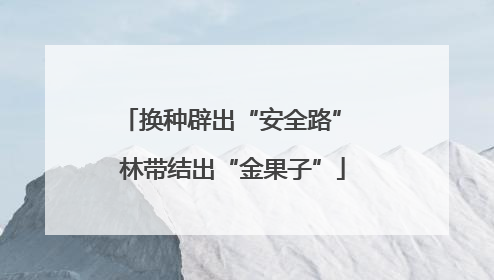 换种辟出“安全路” 林带结出“金果子”