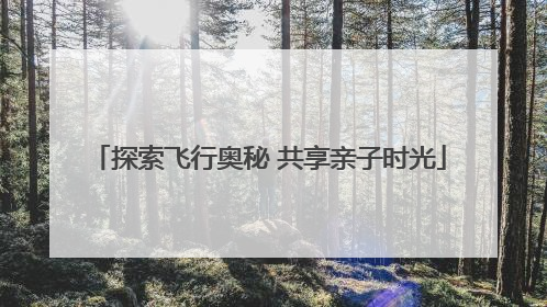 探索飞行奥秘 共享亲子时光
