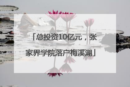 总投资10亿元，张家界学院落户梅溪湖