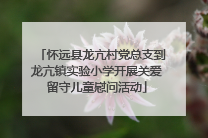 怀远县龙亢村党总支到龙亢镇实验小学开展关爱留守儿童慰问活动