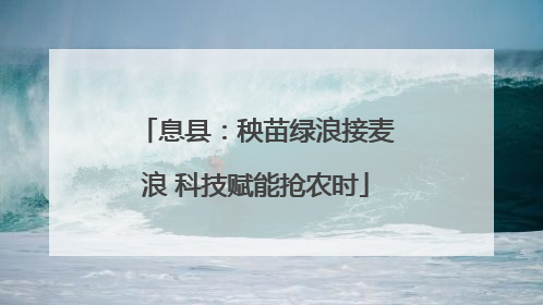 息县：秧苗绿浪接麦浪 科技赋能抢农时