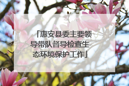 惠安县委主要领导带队督导检查生态环境保护工作