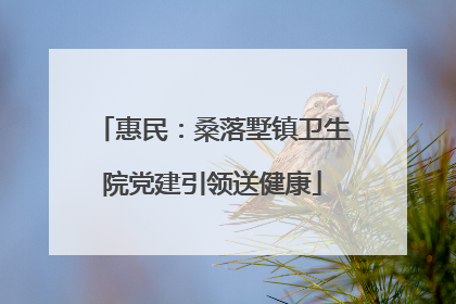 惠民：桑落墅镇卫生院党建引领送健康