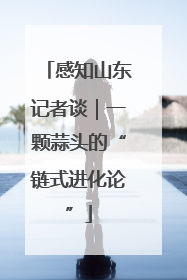 感知山东记者谈｜一颗蒜头的“链式进化论”