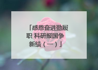 感恩奋进勤履职 科研报国争新绩（一）