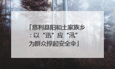 慈利县阳和土家族乡：以“迅”应“汛” 为群众撑起安全伞