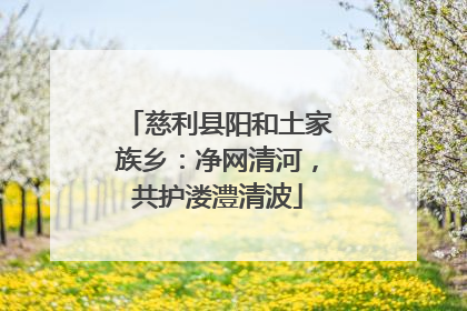 慈利县阳和土家族乡：净网清河，共护溇澧清波