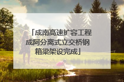 成南高速扩容工程成阿分离式立交桥钢箱梁架设完成
