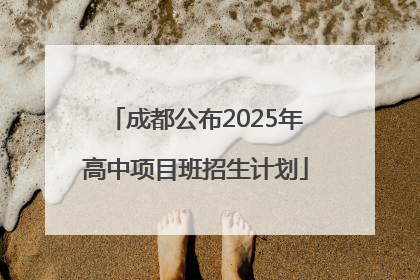 成都公布2025年高中项目班招生计划