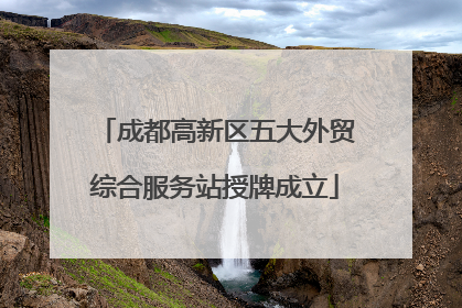 成都高新区五大外贸综合服务站授牌成立