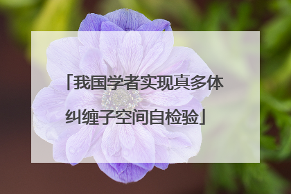 我国学者实现真多体纠缠子空间自检验