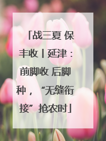 战三夏 保丰收丨延津：前脚收 后脚种，“无缝衔接”抢农时