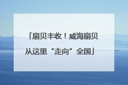 扇贝丰收！威海扇贝从这里“走向”全国