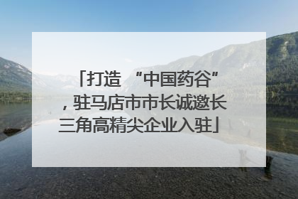 打造 “中国药谷”，驻马店市市长诚邀长三角高精尖企业入驻