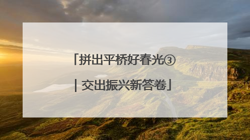 拼出平桥好春光③｜交出振兴新答卷