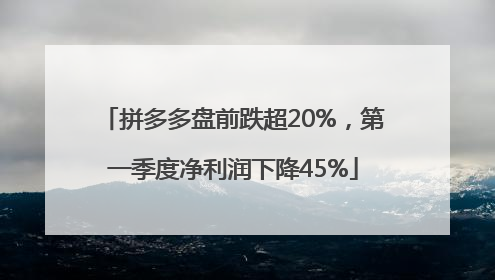 拼多多盘前跌超20%，第一季度净利润下降45%