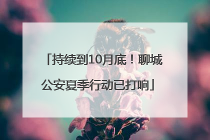 持续到10月底！聊城公安夏季行动已打响
