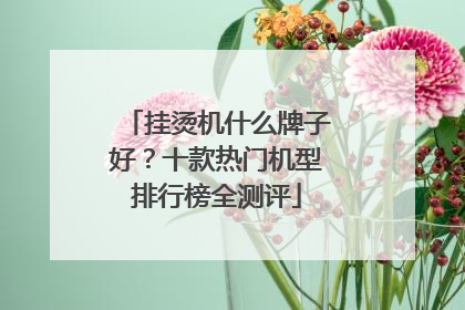 挂烫机什么牌子好？十款热门机型排行榜全测评