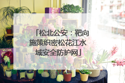 松北公安：靶向施策织密松花江水域安全防护网