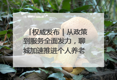 权威发布｜从政策到服务全面发力，聊城加速推进个人养老金制度落地