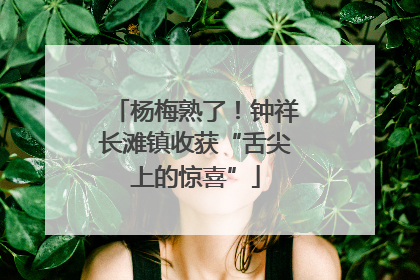 杨梅熟了！钟祥长滩镇收获“舌尖上的惊喜”