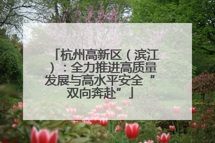 杭州高新区（滨江）：全力推进高质量发展与高水平安全“双向奔赴”