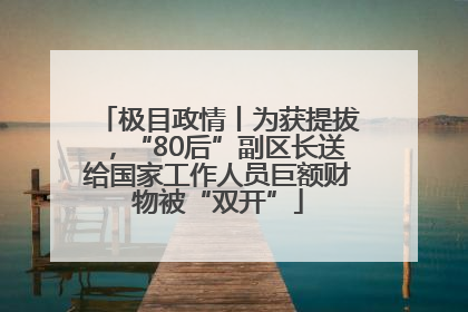 极目政情丨为获提拔，“80后”副区长送给国家工作人员巨额财物被“双开”