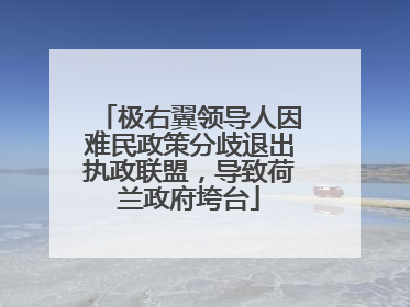 极右翼领导人因难民政策分歧退出执政联盟，导致荷兰政府垮台