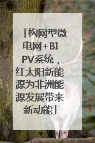 构网型微电网+BIPV系统，红太阳新能源为非洲能源发展带来新动能