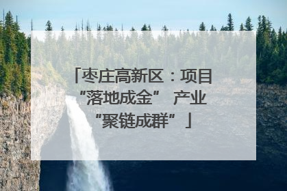 枣庄高新区：项目“落地成金” 产业“聚链成群”