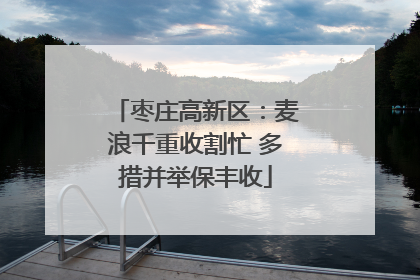 枣庄高新区：麦浪千重收割忙 多措并举保丰收