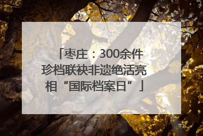枣庄：300余件珍档联袂非遗绝活亮相“国际档案日”