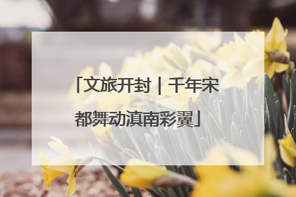 文旅开封｜千年宋都舞动滇南彩翼
