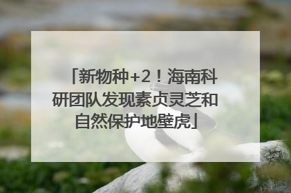 新物种+2！海南科研团队发现素贞灵芝和自然保护地壁虎