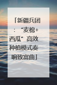 新疆兵团：“麦棉+西瓜”高效种植模式奏响致富曲
