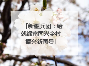 新疆兵团：绘就绿富同兴乡村振兴新图景