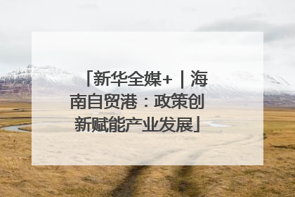 新华全媒+｜海南自贸港：政策创新赋能产业发展