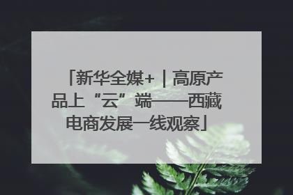 新华全媒+｜高原产品上“云”端——西藏电商发展一线观察