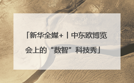 新华全媒+丨中东欧博览会上的“数智”科技秀