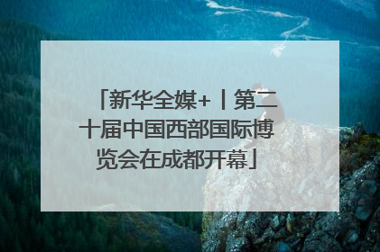 新华全媒+丨第二十届中国西部国际博览会在成都开幕