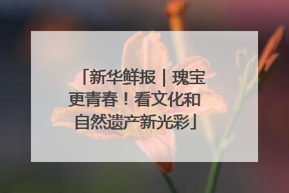 新华鲜报｜瑰宝更青春！看文化和自然遗产新光彩