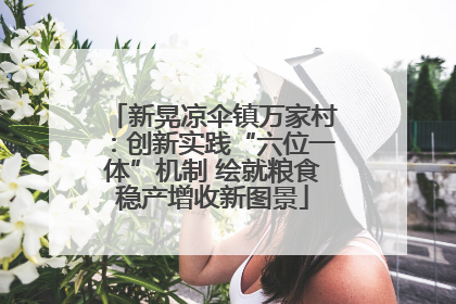新晃凉伞镇万家村：创新实践“六位一体”机制 绘就粮食稳产增收新图景