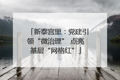新泰宫里：党建引领“微治理” 点亮基层“网格红”