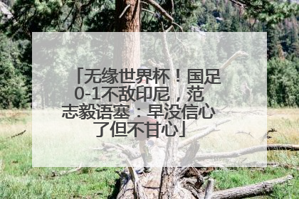 无缘世界杯！国足0-1不敌印尼，范志毅语塞：早没信心了但不甘心